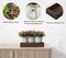 Decorative Centerpiece Wooden Tray with 3 Metal Potted Artificial Milan Flowers Rustic Country Farmhouse Décor for Dining Room, Living Room and Kitchen Table